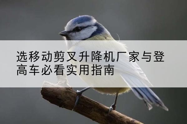 原阳电动升降机厂家-选移动剪叉升降机厂家与登高车必看实用指南