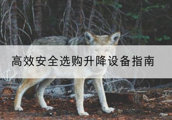原阳升降货梯厂家推荐-*安全选购升降设备指南